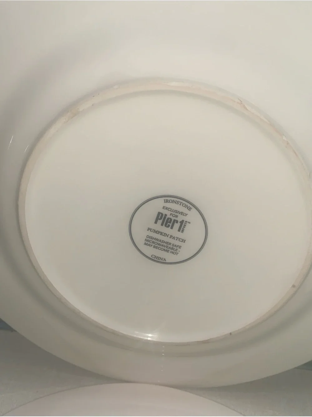 Pier 1 Pumpkin Patch Dinner Plates Set of 4 Earthenware Fall Thanksgiving
